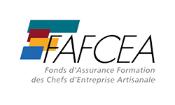 Logo fafcea